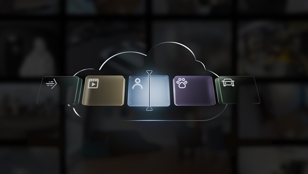Afbeelding van AJ-CLOUDSERVICE-STANDARD-7